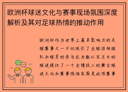 欧洲杯球迷文化与赛事现场氛围深度解析及其对足球热情的推动作用