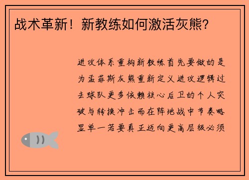 战术革新！新教练如何激活灰熊？